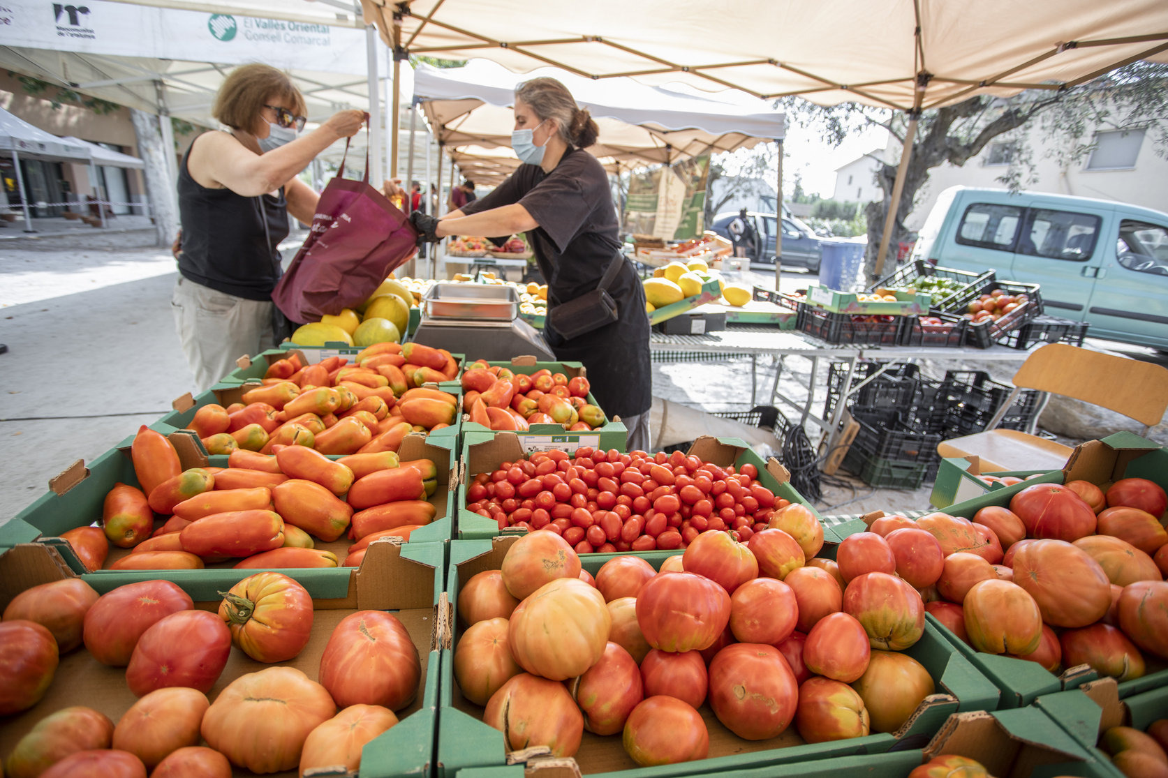 Santa Eulàlia viu la Fira del Tomàquet que recupera el format de dos dies